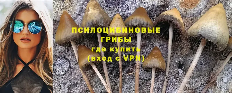 Псилоцибиновые грибы Magic Shrooms  Белозерск 